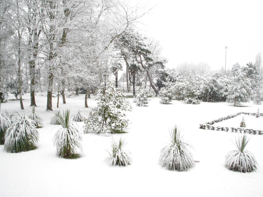 Manoir De La Marjolaine Bed and Breakfast Cabourg Εξωτερικό φωτογραφία